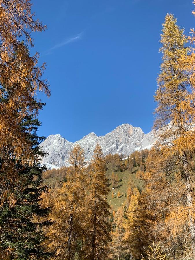 Aparthotel Das Hochkoenig Ramsau am Dachstein Dış mekan fotoğraf